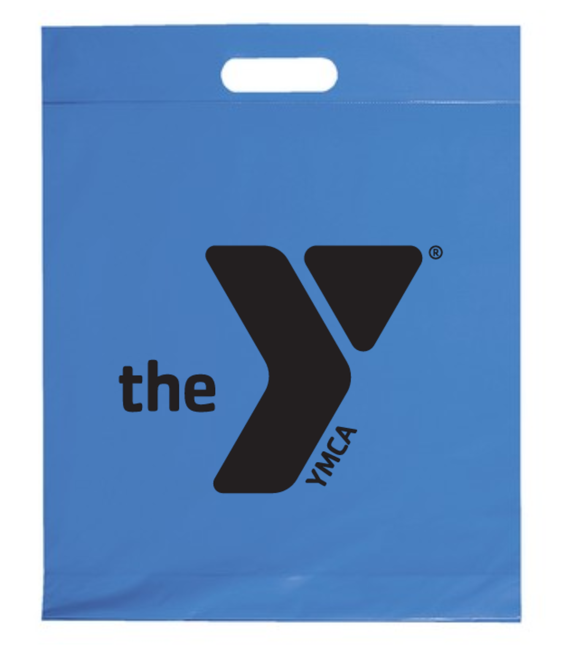 12x15x3 Plastic Handle Bag