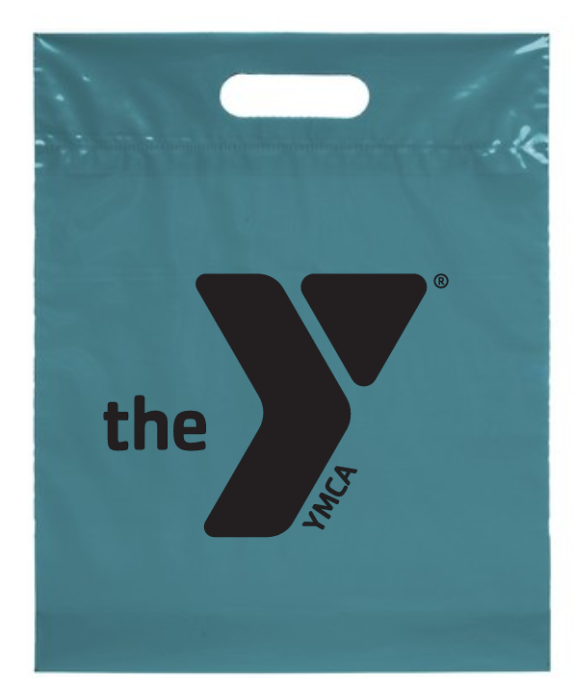 12x15x3 Plastic Handle Bag