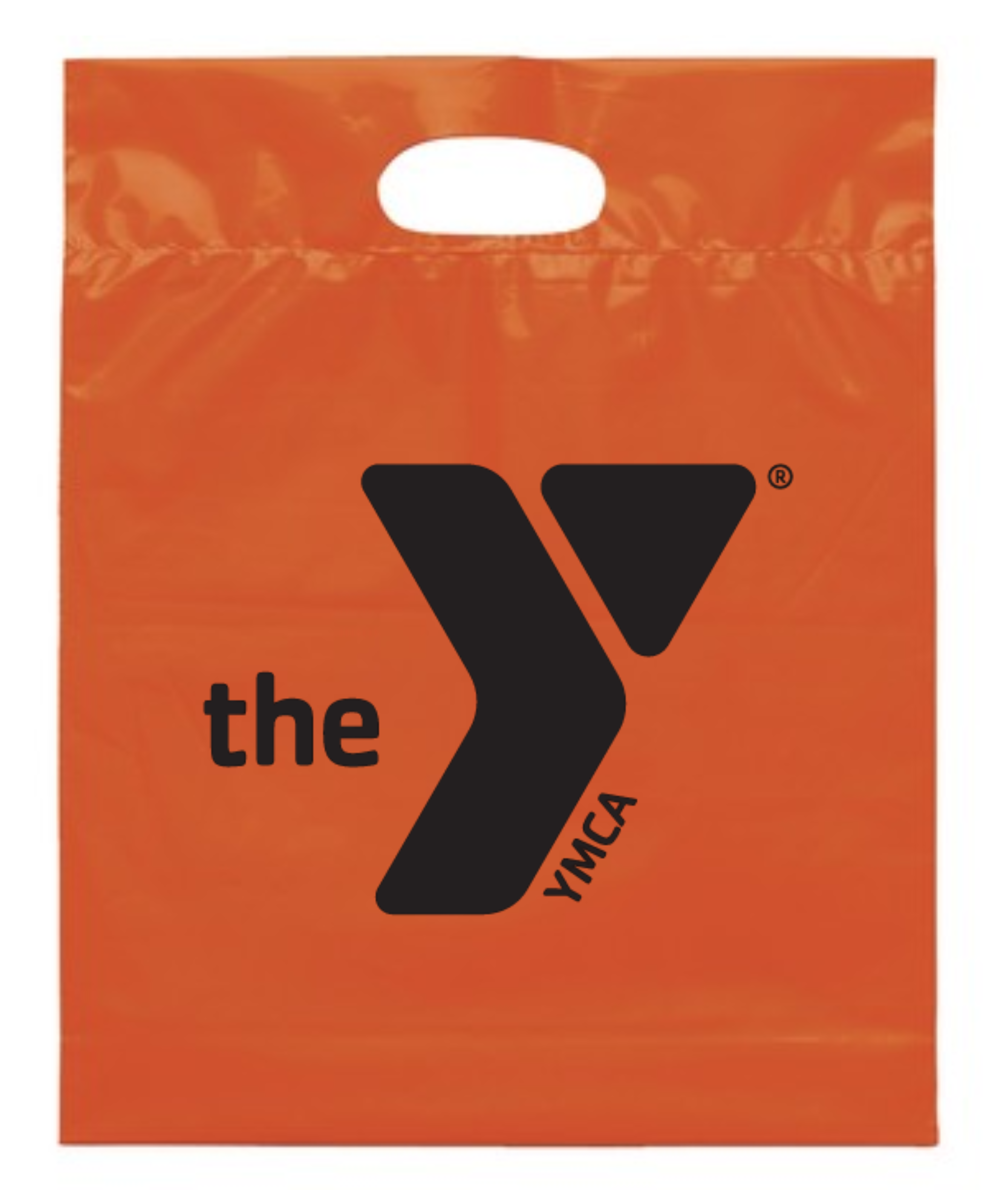 12x15x3 Plastic Handle Bag