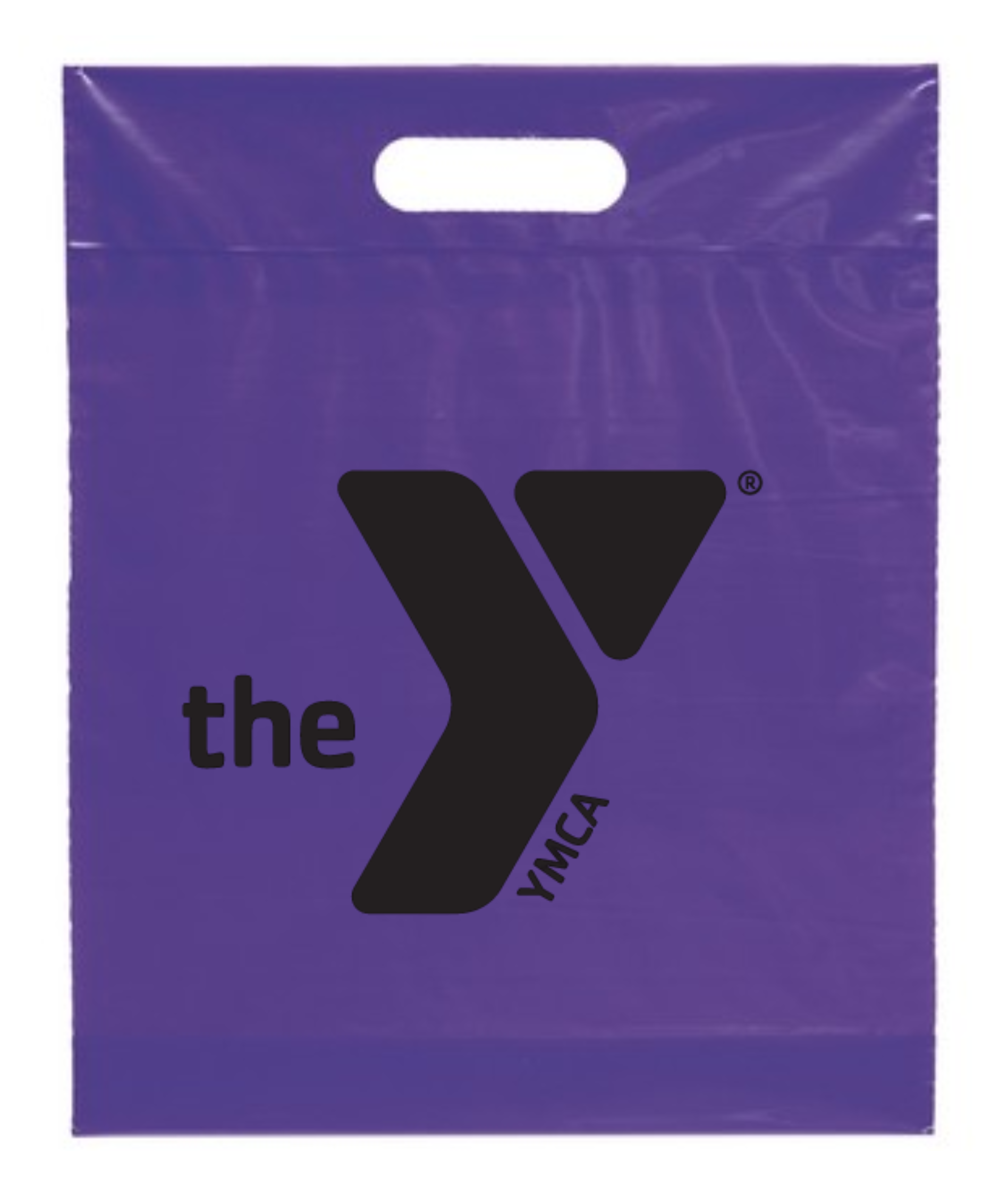 12x15x3 Plastic Handle Bag
